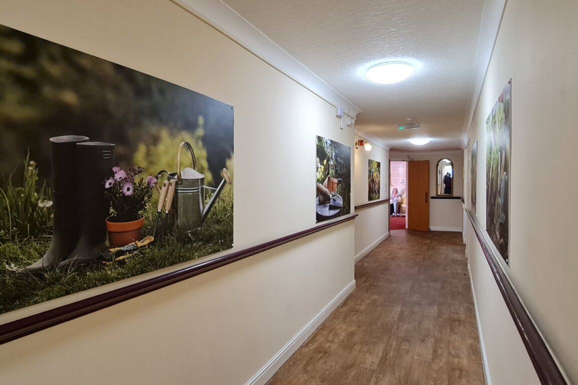 Sycamores Rosedale Care